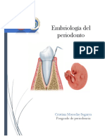 Embriologia Del Periodonto