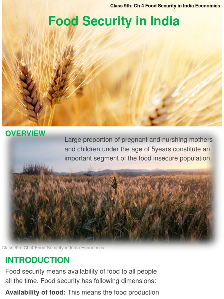 Food Security in India: Class 9 Overview | PDF | Green Revolution ...