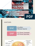 EXPLORACIóN NEUROLóGICA