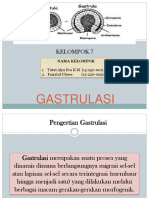 Gastrulasi Fix