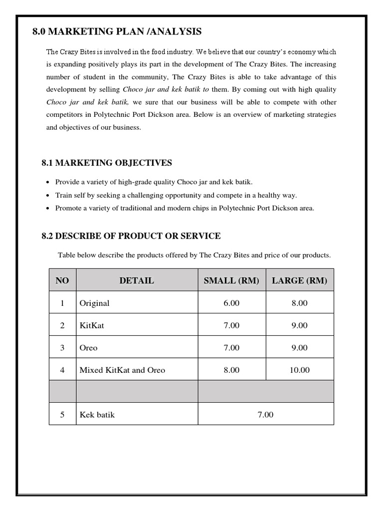 Marketing Plan & Operational Plan | PDF | Target Audience | Sales