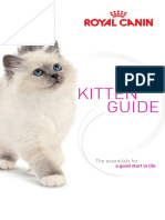KittenGuide-RCP.pdf