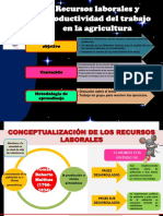 Recursos laborales y productividad agrícola