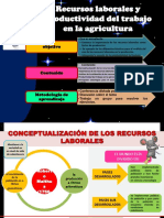 Recursos Laborales y