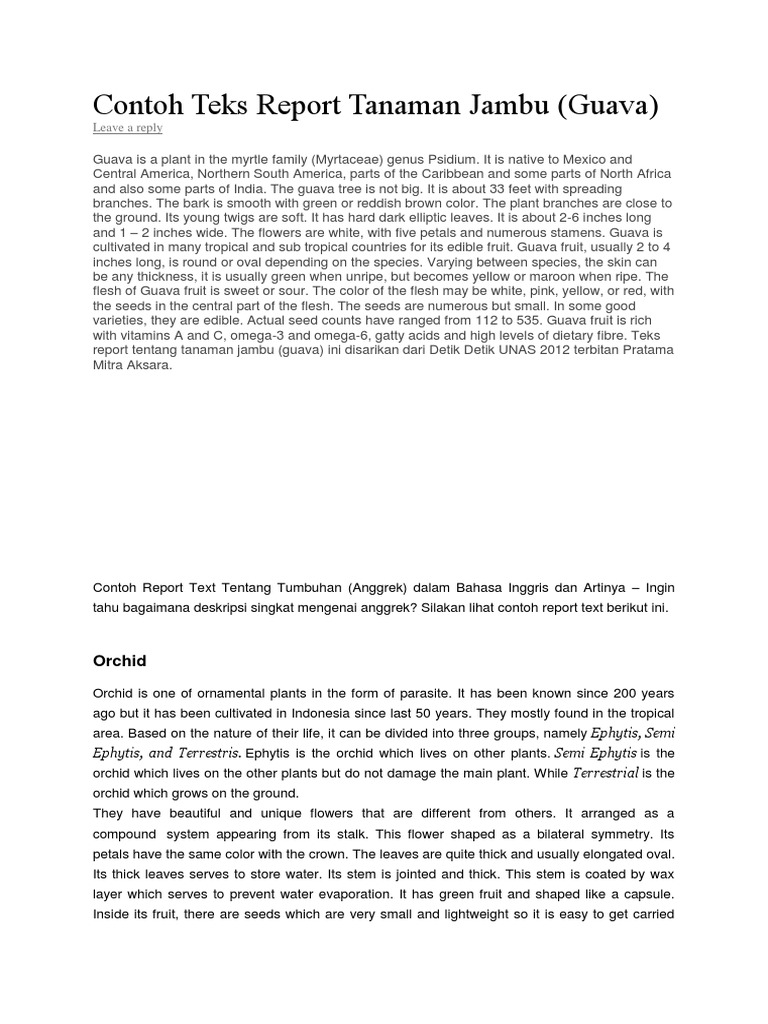 Contoh Teks Report Tanaman Jambu Docx Orchidaceae Gardening