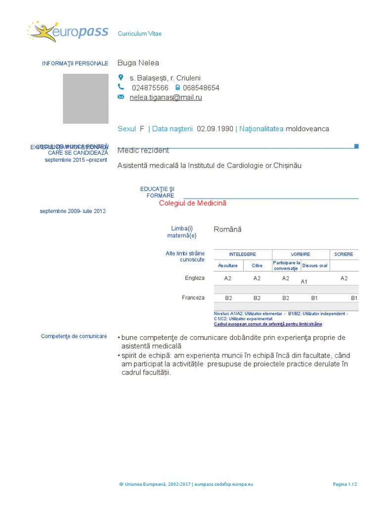 Model Cv Europass