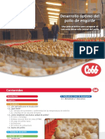 Desarrollo Optimo Delpollo de Engorde