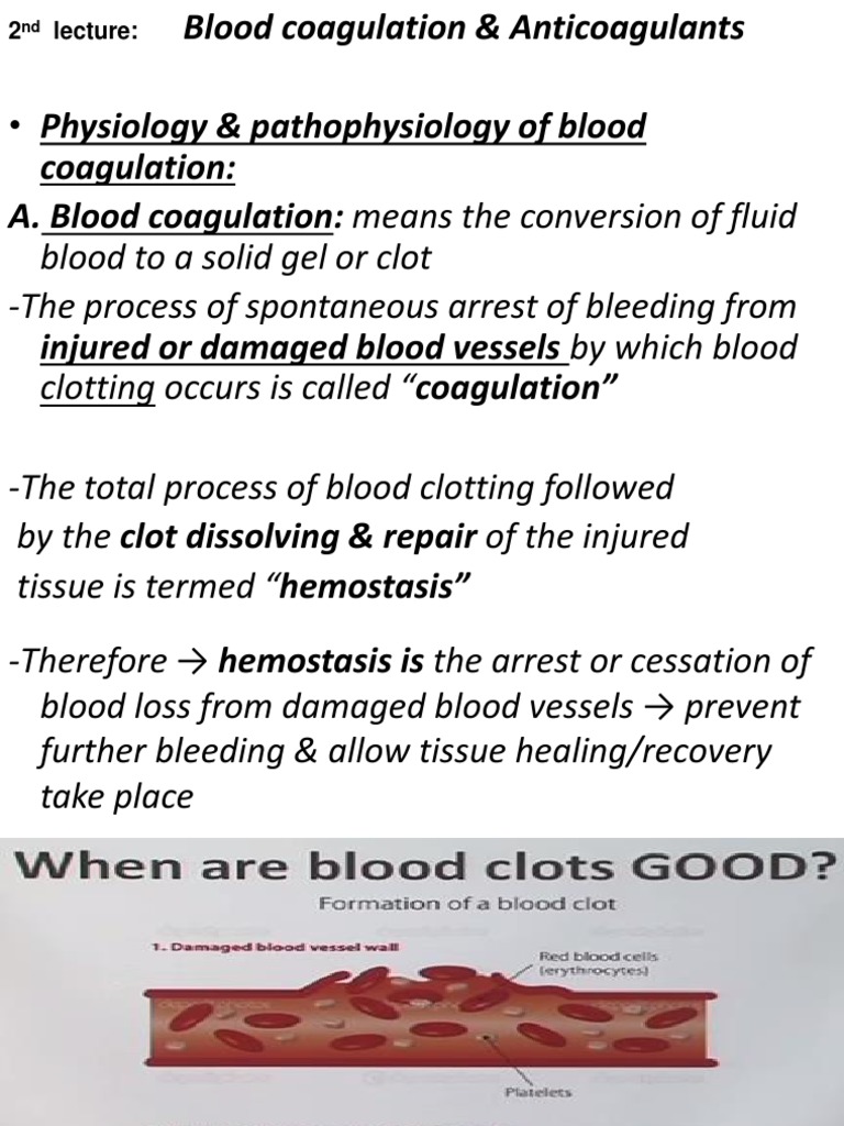 Blood Coagulation and Anticoagulants Overview | PDF | Coagulation ...