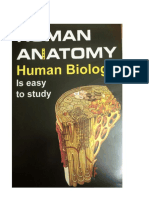 Anatomy Summary
