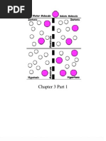 Download Unit 3 Packet Carolyn student by mrsblennau SN391696 doc pdf