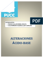 Acido Base