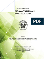 Modul Praktikum Budidaya Tanaman Hortikultura