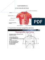 Cuestionario 31