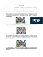 el-koala.pdf