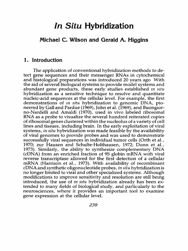 Insitu Hybridisation | PDF | Sense (Molecular Biology) | In Situ ...