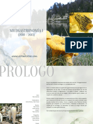 Micogastronomia I, PDF, Panes