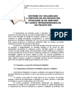 CAPITOLUL 5 Sisteme de Organizare A Unitatilor de Productie Auxiliare Si de Servire in Cadrul Intreprinderilor de Productie PDF