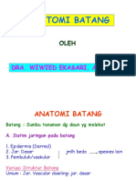 Anatomi Batang