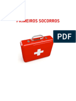 materialcomplementar_primeirossocorros_victorcruz_revisada_corrigida.pdf