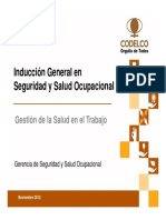 Inducción SSO - EST (1).pdf