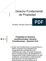 Derecho de Propiedad