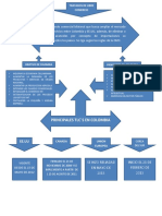 Mapa Conceptual