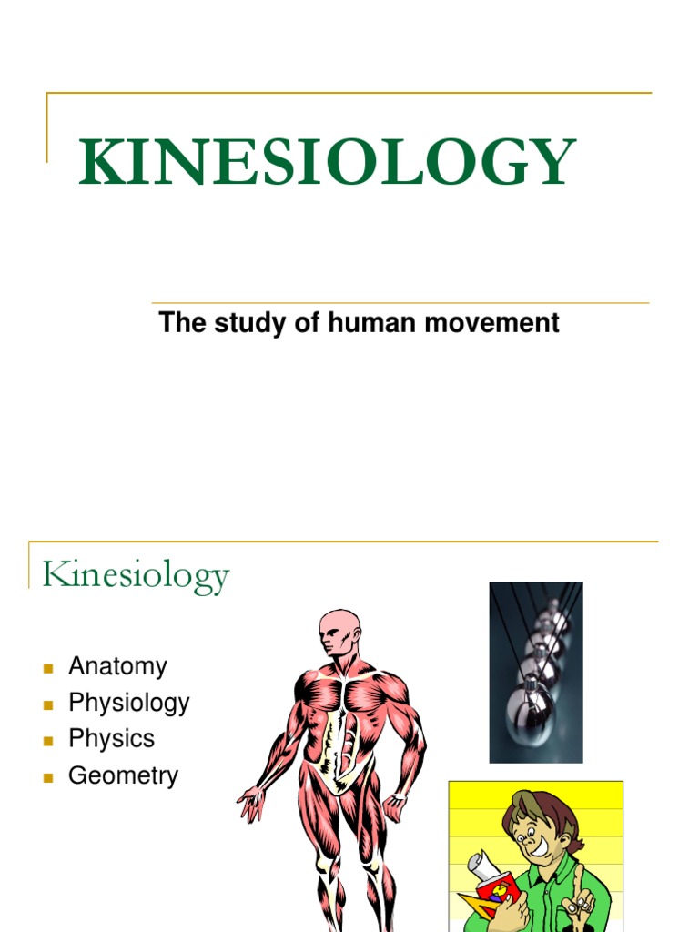 Understanding Kinesiology Movements | PDF | Anatomical Terms Of Motion ...