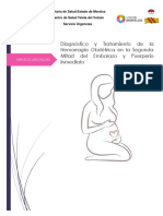 Diagnóstico y Tratamiento de La Hemorragia Obstétrica en La Segunda Mitad Del Embarazo y Puerperio Inmediato