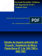 ESTRUCTURA Y MODELO DE EIA.pptx