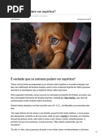 Os Animais Podem Ver Espíritos
