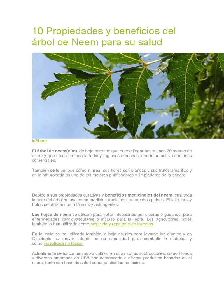 10 Propiedades y Beneficios Del Árbol de Neem para Su Salud PDF