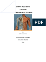 WORKSHEET PRAKTIKUM Musculuskeletal-Osteologi-1