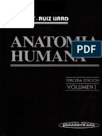 Anatomia Vol 1.pdf