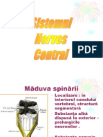 sn_central.ppt