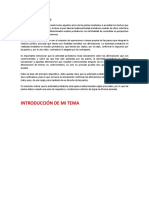 334256021-Etapa-de-Actuacion-Probatoria.docx