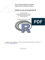 R Landeiro-Introducao.pdf