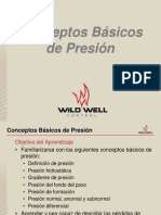 CONCEPTOS BASICOS DE PRESION.pdf