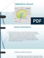 Protuberancia Anular