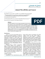 mTOR signaling-related MicroRNAs and Cancer involvement