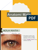 Anatomi Mata Litha
