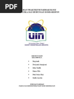 Download LAPORAN ANALGETIK DAN HUBUNGAN DOSIS-RESPON by Bayyinah Ardian SN39180055 doc pdf
