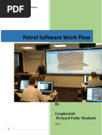 Petrel Software Work Flow Part 2