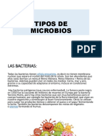 Tipos de Microbios