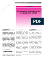 SD INMOVILIZACION.pdf