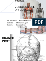 2 Anatomia Huesos y Músculos Del Cráneo y Cuello