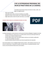 420-2014-02-18-21 Fracturas de cadera.pdf