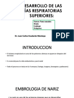 Vias Respiratorias Superiores Moore Embriologia