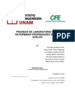 CFE UNAM.pdf