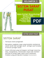 Fix Sistem Saraf Pusat