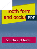 Tooth Form and Occlusion45